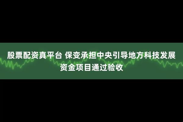 股票配资真平台 保变承担中央引导地方科技发展资金项目通过验收