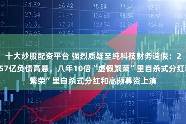 十大炒股配资平台 强烈质疑至纯科技财务造假：27亿现金失血，57亿负债高悬，八年10倍“虚假繁荣”里自杀式分红和高频募资上演